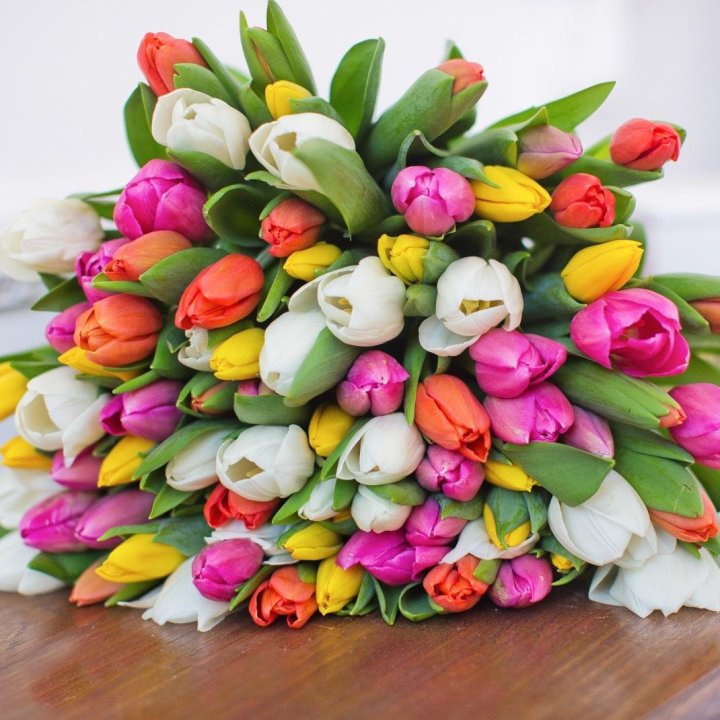 79 тюльпанов "Рандом" в Подольске