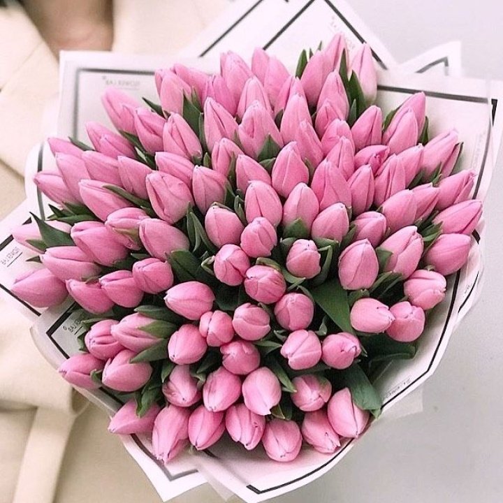 101 розовый тюльпан в белом в Подольске