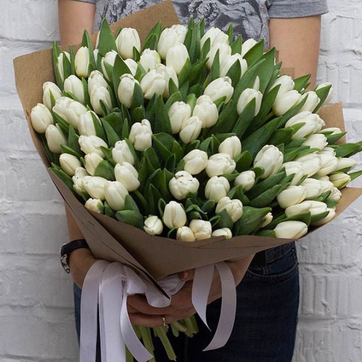 101 тюльпан сноу в Подольске