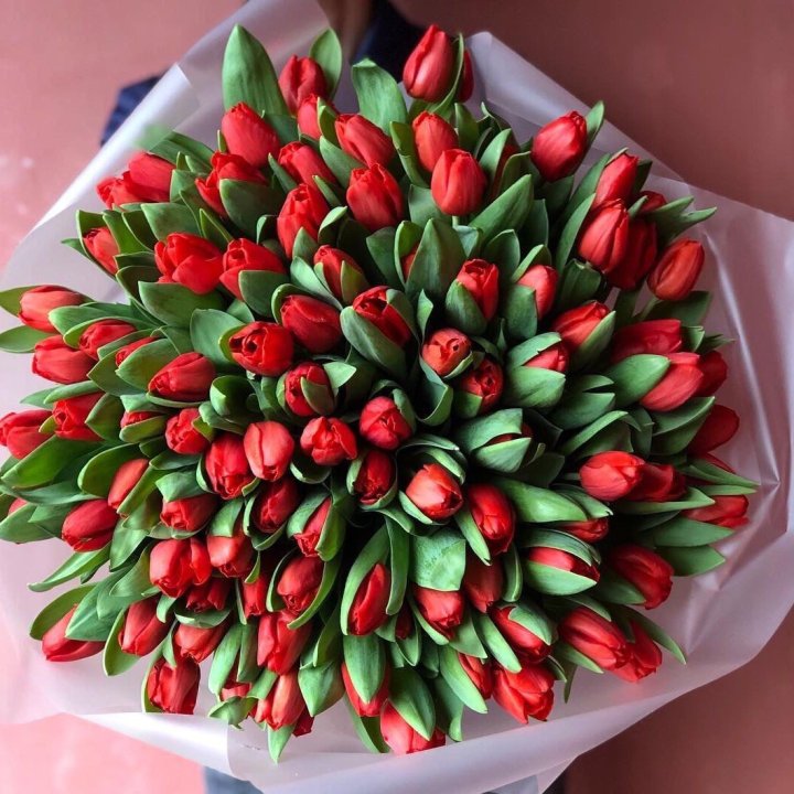 101 красный тюльпан в Подольске